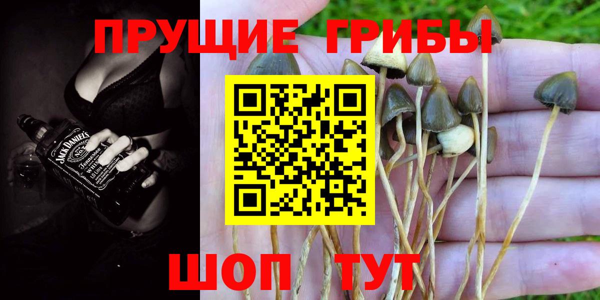 Галлюциногенные грибы прущие грибы  Псилоцибиновые грибы ЛСД  Донской  Вход с VPN 
